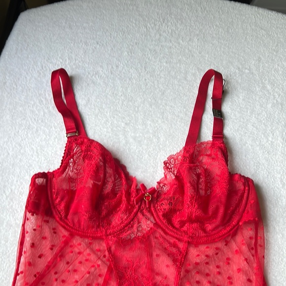 Dita Von Teese Fiamma Bodusuit - Picture 9 of 16